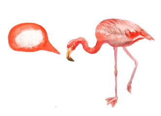 Pink flamingo