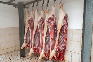 Slaughter of a pig, Carcasses of pigs, Ham pork, Hanged carcasses of pigs