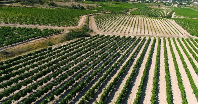 vignes en vue a&eacute;rienne, france