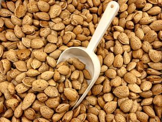 Aerial view of a white Scoop in fresh almonds