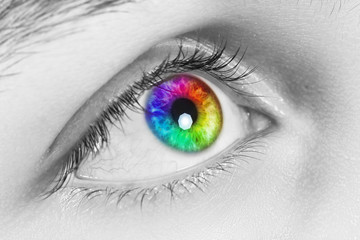 Colorful Eye