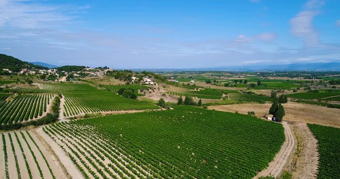 vignes en vue a&eacute;rienne, france