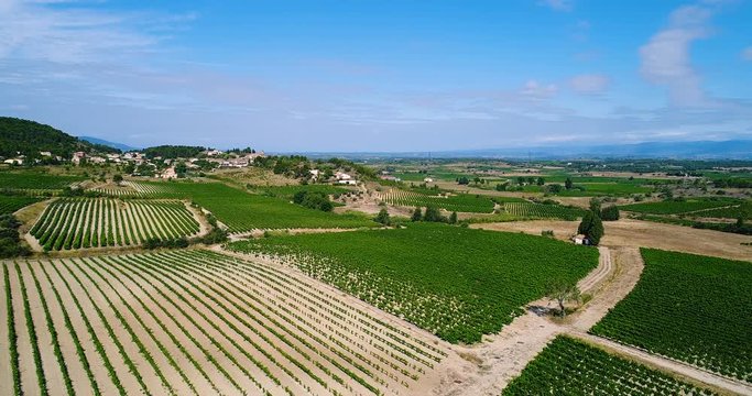 vignes en vue a&eacute;rienne, france