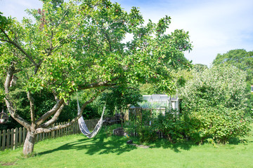 Hammick and greenhouse in lush green garden