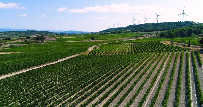 paysage de vignes avec &eacute;olienne en fond