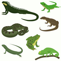 Reptiles and amphibians decorative set icons in cartoon style isolated vector illustration