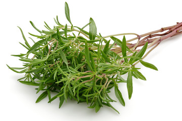Thyme