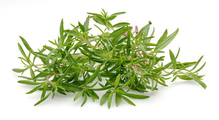 Thyme