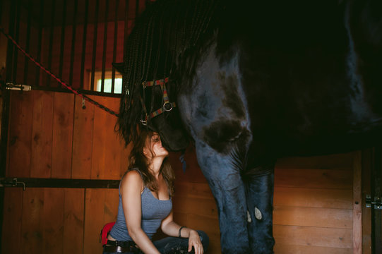 woman horseman cleans from dirt with brush Friesian horse in stables on farm, taking care of purebred pets