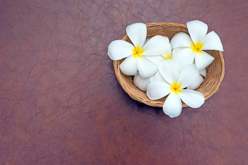 plumeria flowers in basket weave on  brown leather background