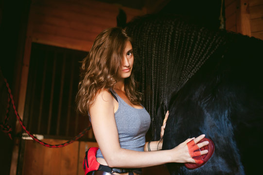 woman horseman cleans from dirt with brush Friesian horse in stables on farm, taking care of purebred pets