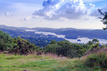 Landscape