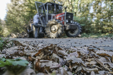 tractor on road in forest during autumn