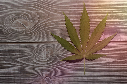 A sheet of marijuana on a wooden background.