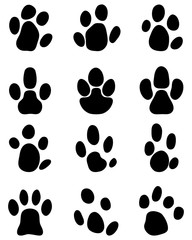 Fototapeta premium Black footprints of tapir on a white background
