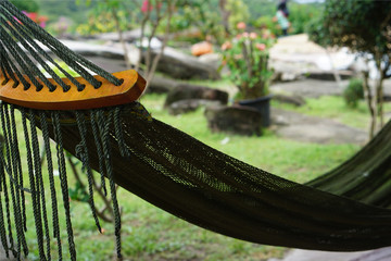 hammock in tropical garden