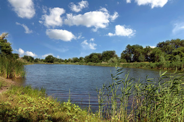 Obraz na płótnie Canvas Summer landscape with lake