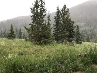 Hail Storm on Colorado Mountain