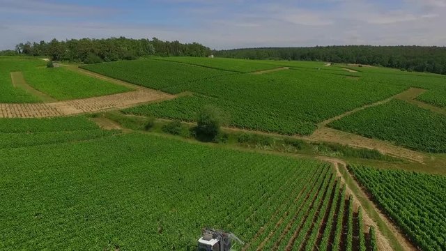 Aerial View of a Green Vineyard with a Straddle in Champagne / 4K UHDV Movie