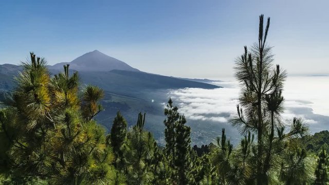 Zeitraffer am El Teide auf Teneriffa mit B&auml;umen im Wind und Wolken von oben