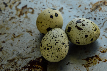 Obraz premium healthy quail eggs