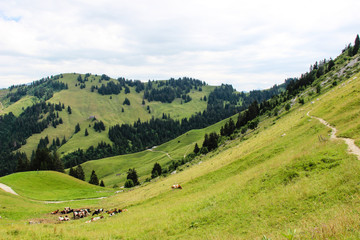 rando suisse alpes nature