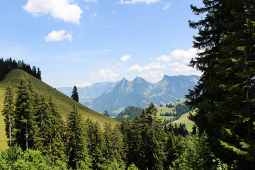 rando suisse alpes nature