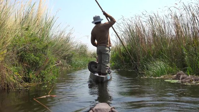 Safari in a Mokoro through the Okavango Delta (4K footage)