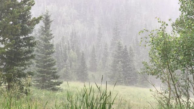 Hail Storm in Mountain Valley