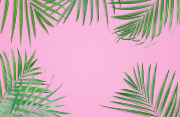 Fototapeta na wymiar Tropical palm leaves on pink background. Minimal nature. Summer Styled. Flat lay. Image is approximately 5500 x 3600 pixels in size