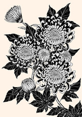 Chrysanthemum vector on brown background.Chrysanthemum flower by hand drawing.Floral tattoo highly detailed in line art style.Flower tattoo black and white concept.