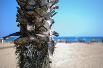 Playa de Salou
