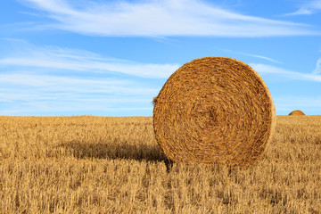 Landscape with Hay Bales