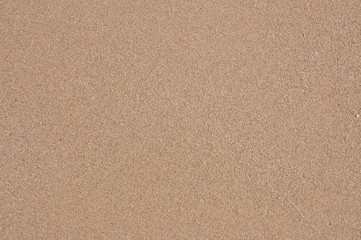 Natural texture, sandy beach detail of sand, empty beige background