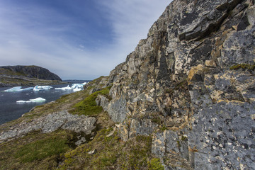 rocky Newfoundland coast with icebergs; Fogo Island