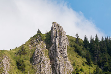 Solar panals with a reflextion of a wind turbine renewable, alternative energy
