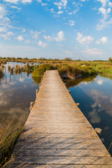 Holzsteg im Sumpfgebiet in der Camargue