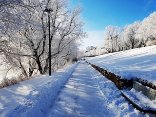 Winter Walking Path