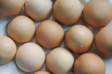 Brown chicken eggs on a white-blue background, close-up