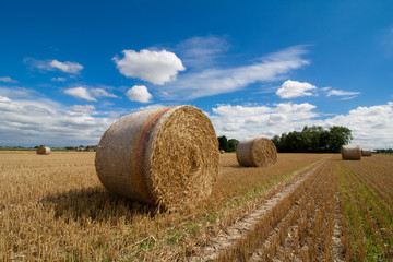 Strohballen nach der Ernte in einer ländlichen Gegend