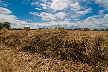 Heu auf einem landwirtschaftlichen Feld in einer ländlichen Gegend