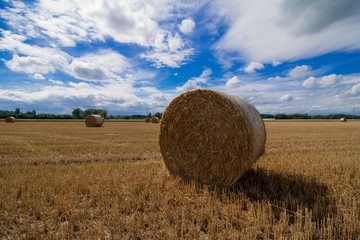 Strohballen nach der Ernte in einer ländlichen Gegend 