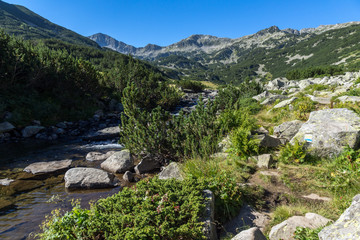 Fototapeta na wymiar Amazing landscape of Mountain river and Banderishki Chukar peak, Pirin Mountain, Bulgaria
