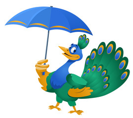 Bad weather. Funny peacock with umbrella. Cartoon styled vector illustration. Isolated on white. No transparent objects.