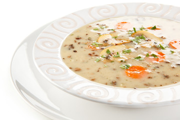Mushroom soup on white background