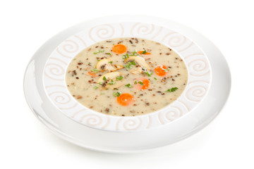 Mushroom soup on white background