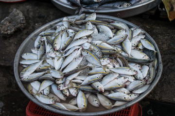 Fish market