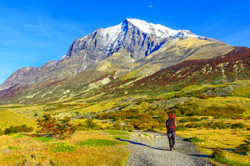 Torres del Paine National Park, Patagonia, Chile
