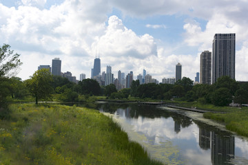 Fototapeta na wymiar Chicago from Lincoln Park
