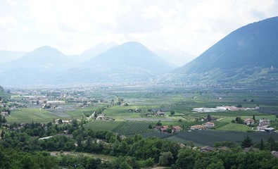 Fototapeta na wymiar Berg- und Gartenlandschaft in Südtirol / Meran